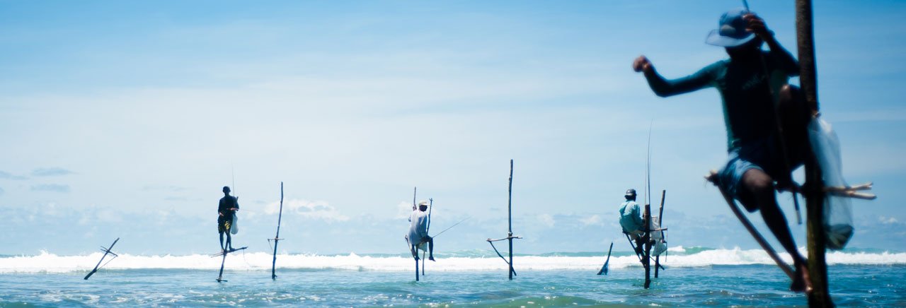 Stick fishermen of Sri Lanka