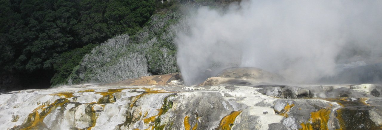 Prince of Wales Feathers geyser, Rotorua
